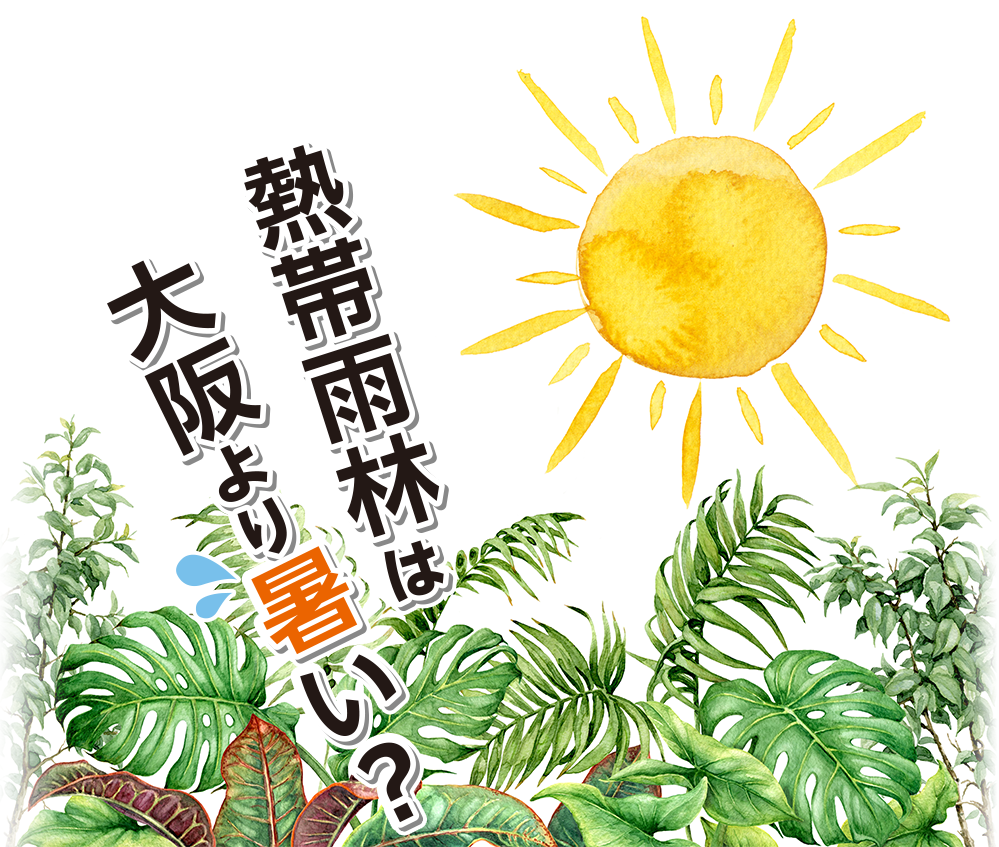 熱帯雨林は大阪より暑い？